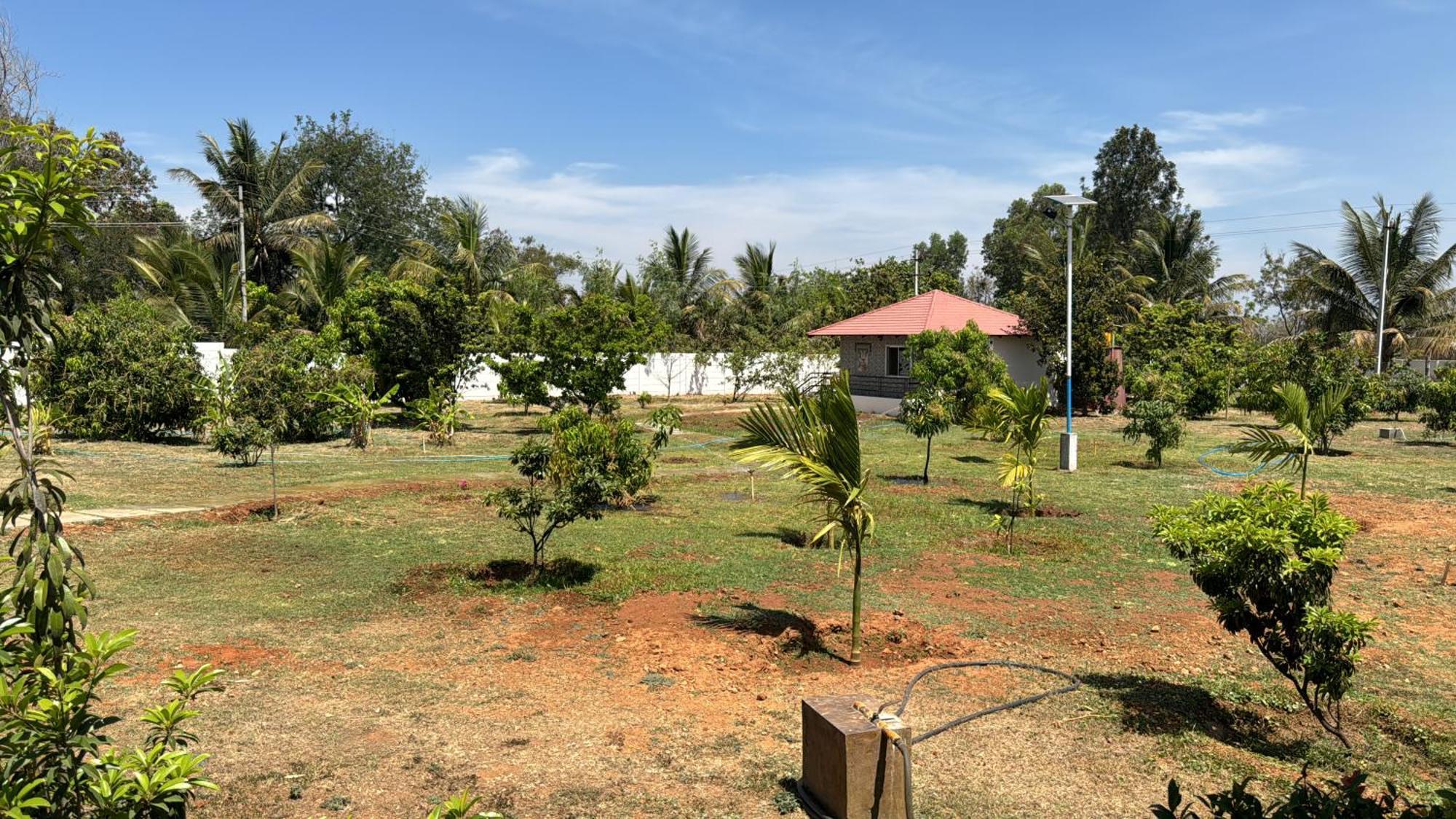 Raj Home Stay Maisur Dış mekan fotoğraf