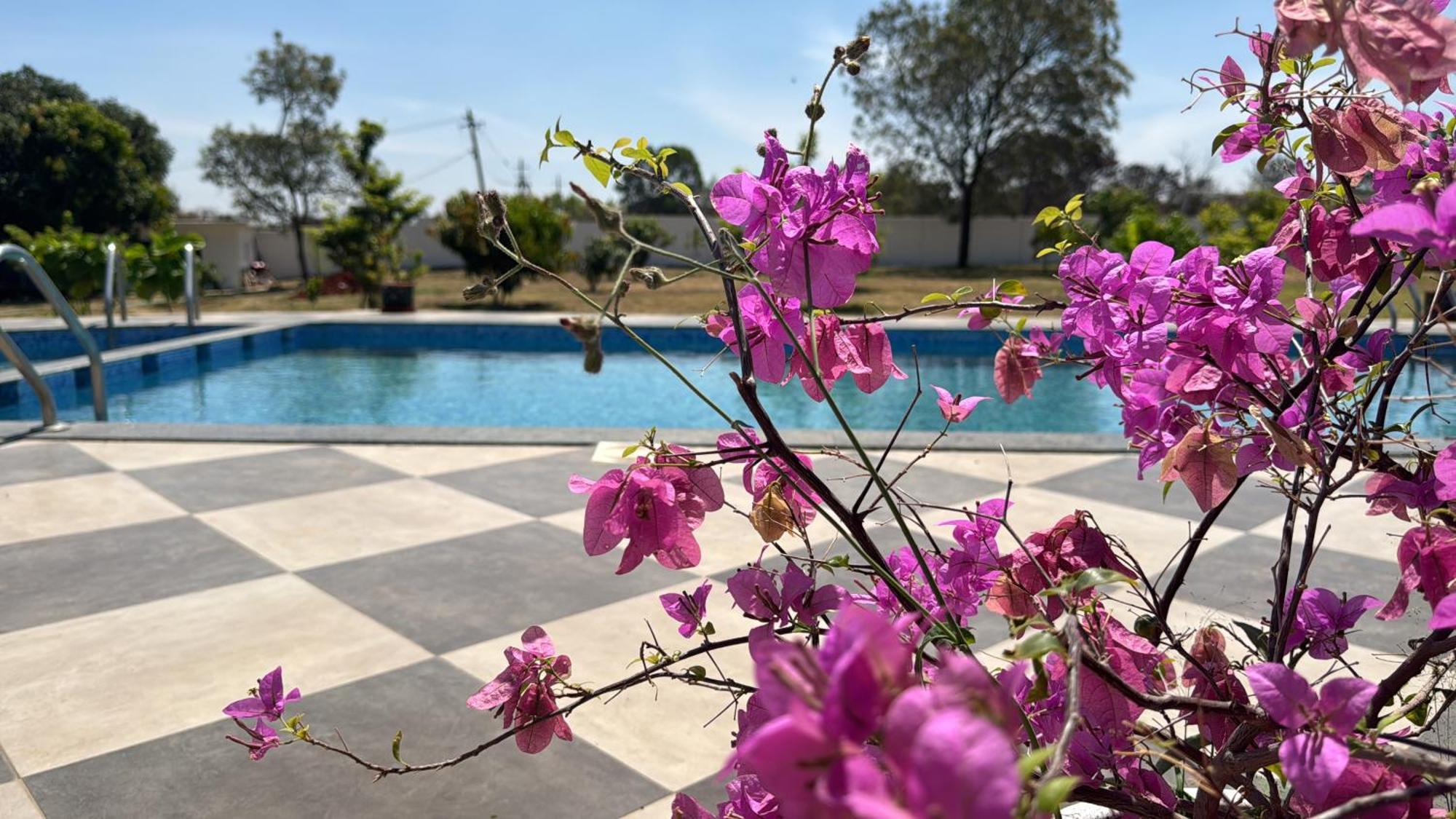 Raj Home Stay Maisur Dış mekan fotoğraf